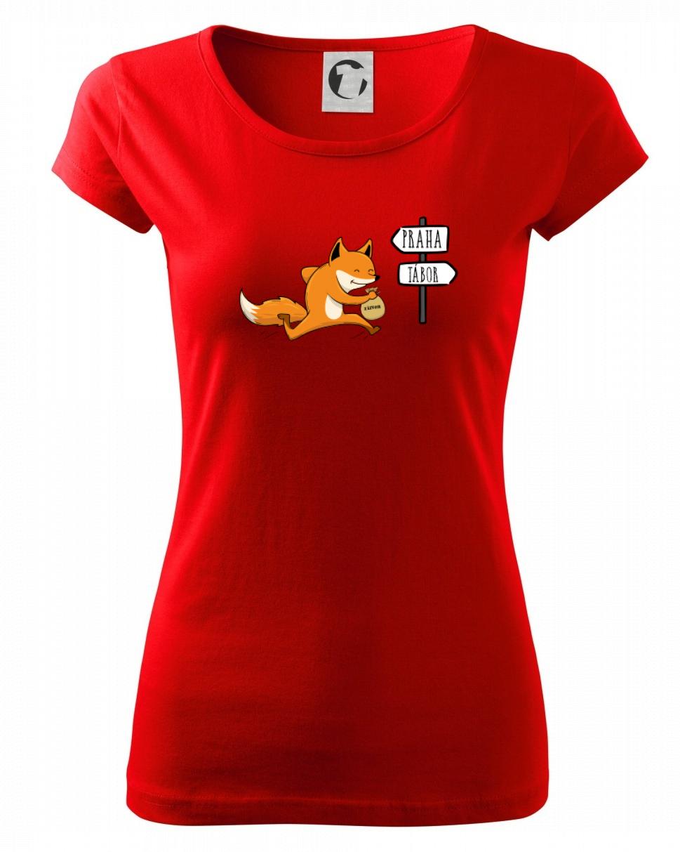 Běží liška k táboru