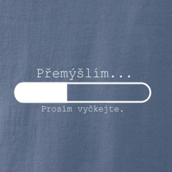 Přemýšlím Přemýšlím