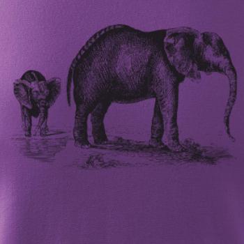 Slonice a slůně kreslené