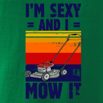 I'm sexy and i mow it