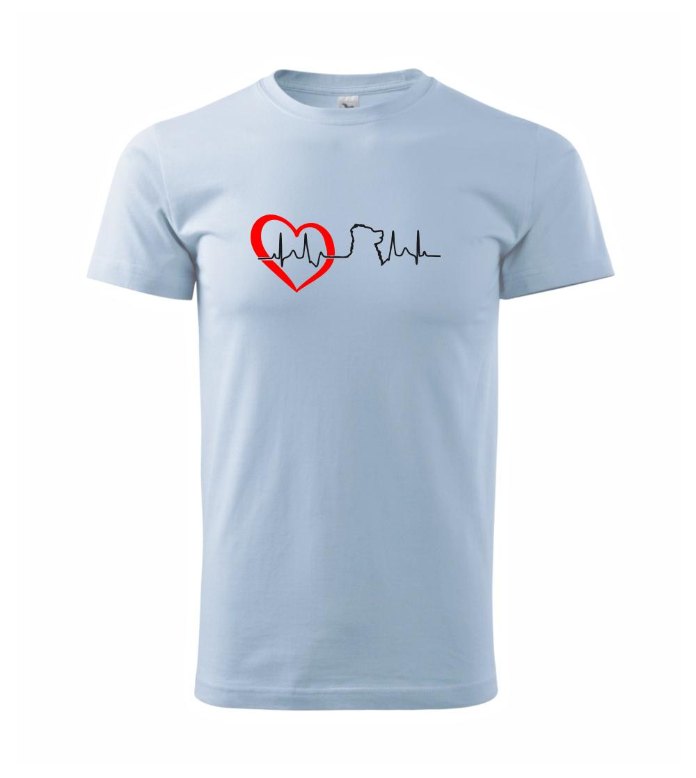 Bernský salašnický pes EKG Bernský salašnický pes EKG