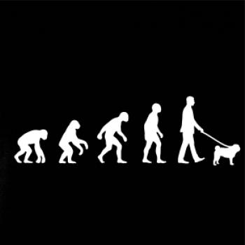 Evoluce pes Mops (muž-žena)