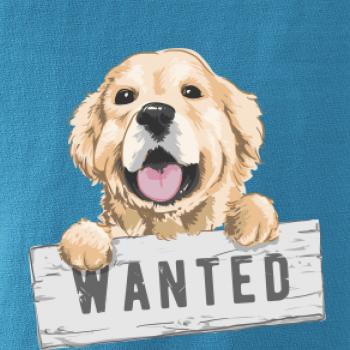 Zlatý retriever - štěně wanted Zlatý retriever - štěně wanted