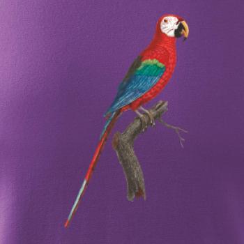 Papoušek červený na větvi