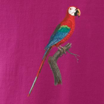 Papoušek červený na větvi