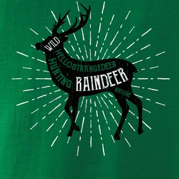 Deer raindeer