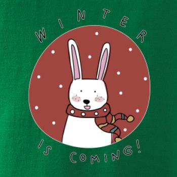 Winter is coming zajíc