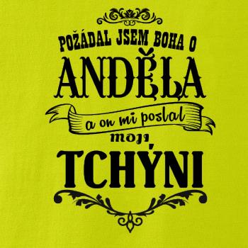 Požádal jsem boha o anděla a on mi poslal moji tchýni