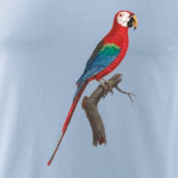 Papoušek červený na větvi