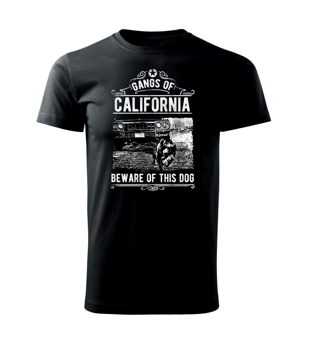 Gangs Of California Gangs Of California