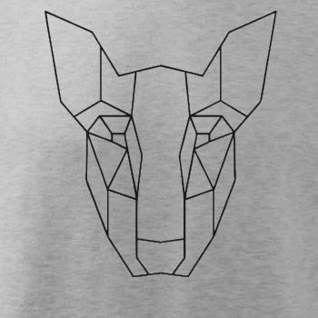 Americký Pit Bull Teriér - Geometrie