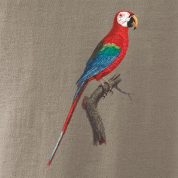 Papoušek červený na větvi