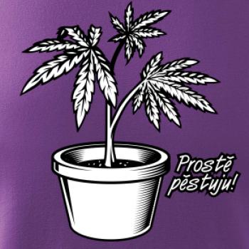 Konopi prostě pěstuju