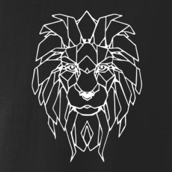 Geometrie - lev tvář