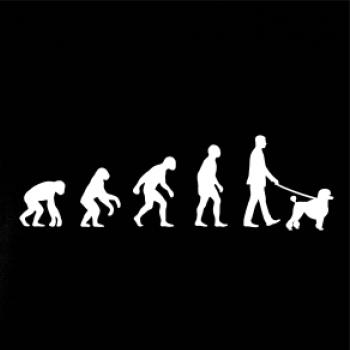 Evoluce pes pudl (muž-žena)