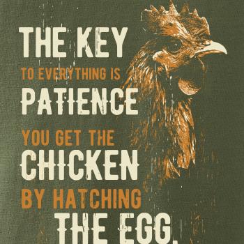 Chicken patience