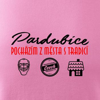 Pardubice město s tradicí