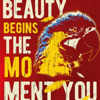 Bird macaw