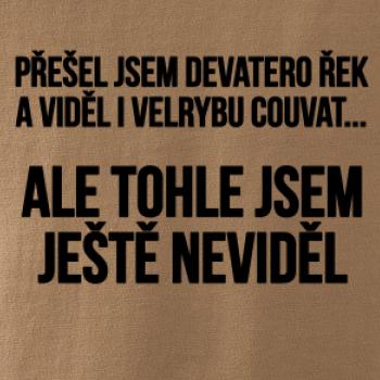 Viděl jsem velrybu couvat