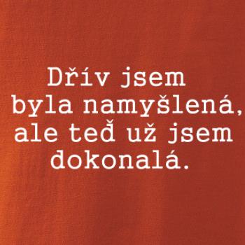 Jsem dokonalá