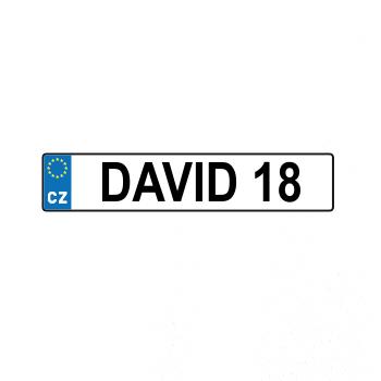 SPZ David 18