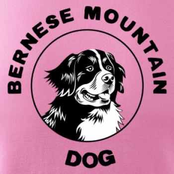 Bernese mountain dog v kruhu