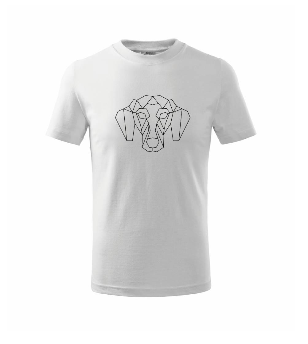 Jezevčík - Geometrie