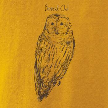 Puštík proužkovaný Barred owl