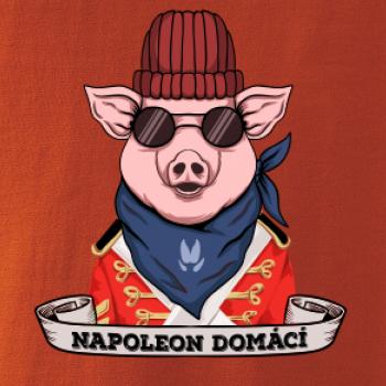 Napoleon domácí prase