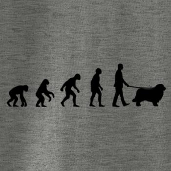 Evoluce pes Novofundlandský pes (muž-žena)