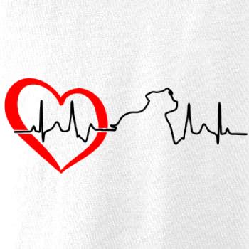Stafordšírsky bulteriér EKG Stafordšírsky bulteriér EKG