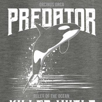 Orca predator