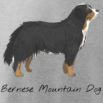 Bernese mountain dog kreslený