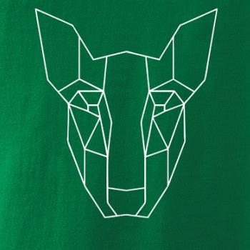 Americký Pit Bull Teriér - Geometrie