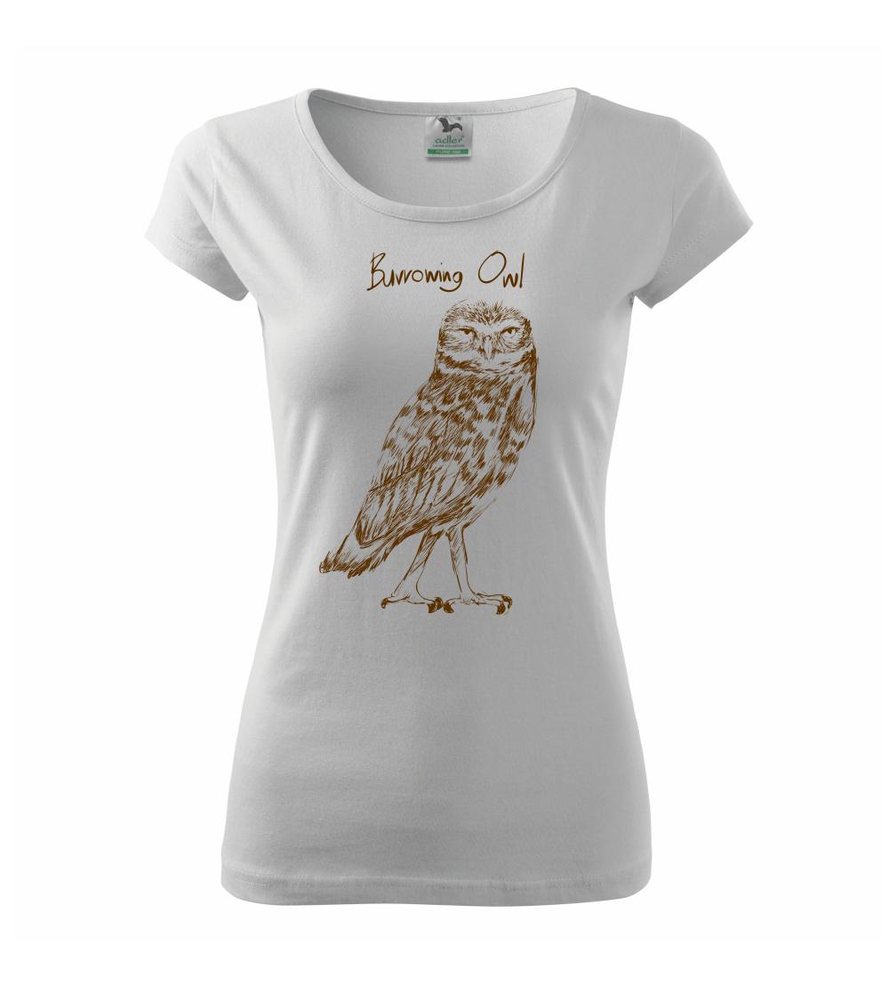 Sýček králičí burrowing owl