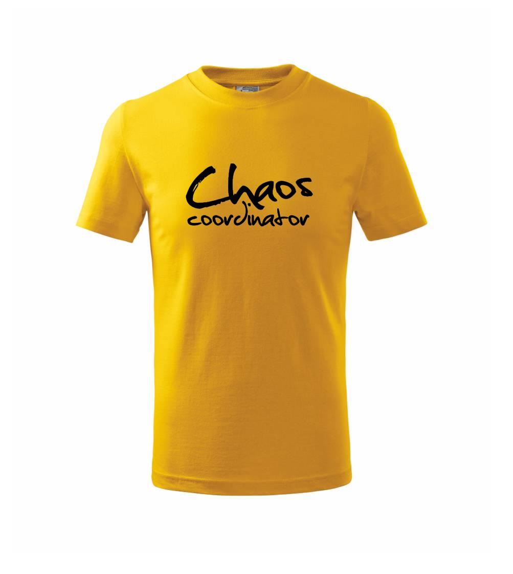Chaos coordinator