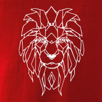 Geometrie - lev tvář