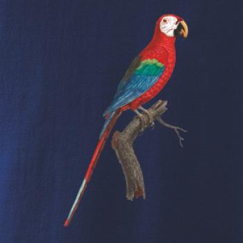 Papoušek červený na větvi