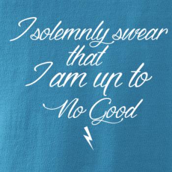 I solemnly swear that I'm up to no good