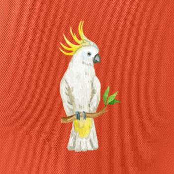 Papoušek Kakadu kreslený