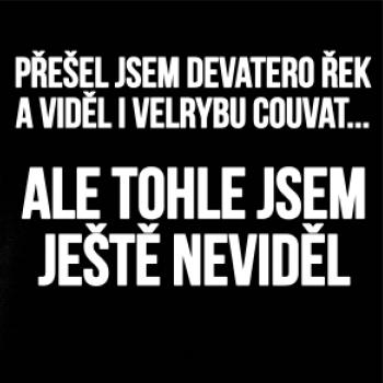 Viděl jsem velrybu couvat