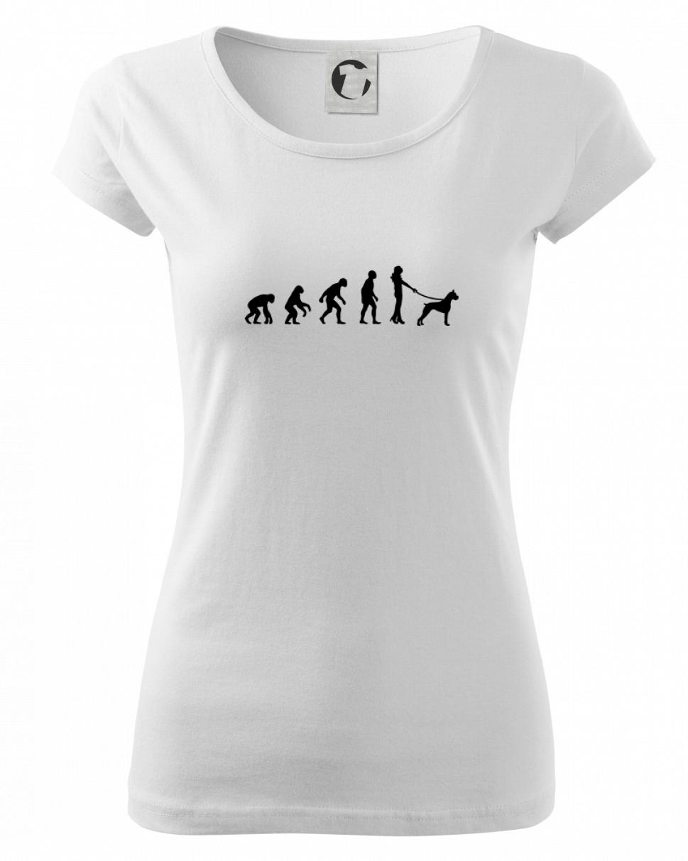 Evoluce pes boxer (muž-žena)