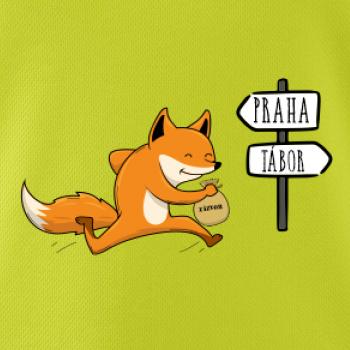 Běží liška k táboru