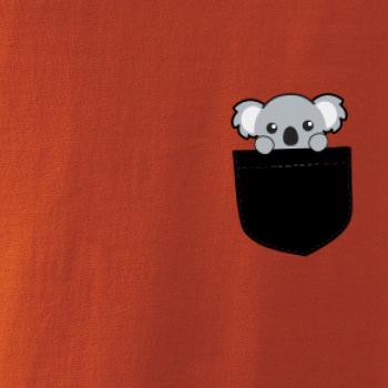 Koala v kapse