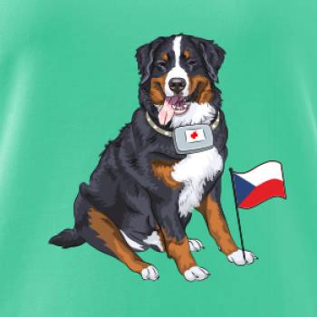 Pes záchranář bernský salašnický