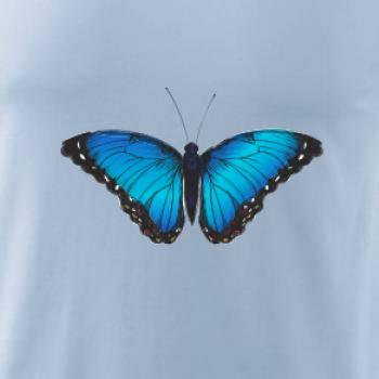Motyl babočka Morpho Peleides