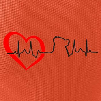 Bernský salašnický pes EKG