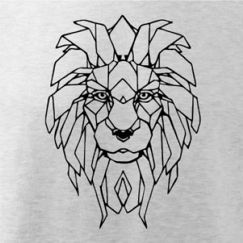 Geometrie - lev tvář