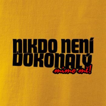 Nikdo není dokonalý mimo mě