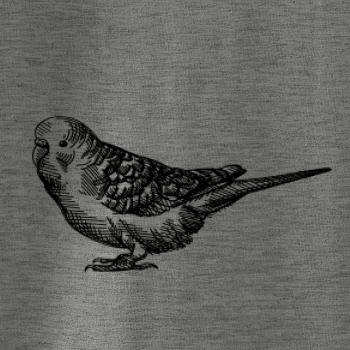 Tužkou kreslený Papoušek